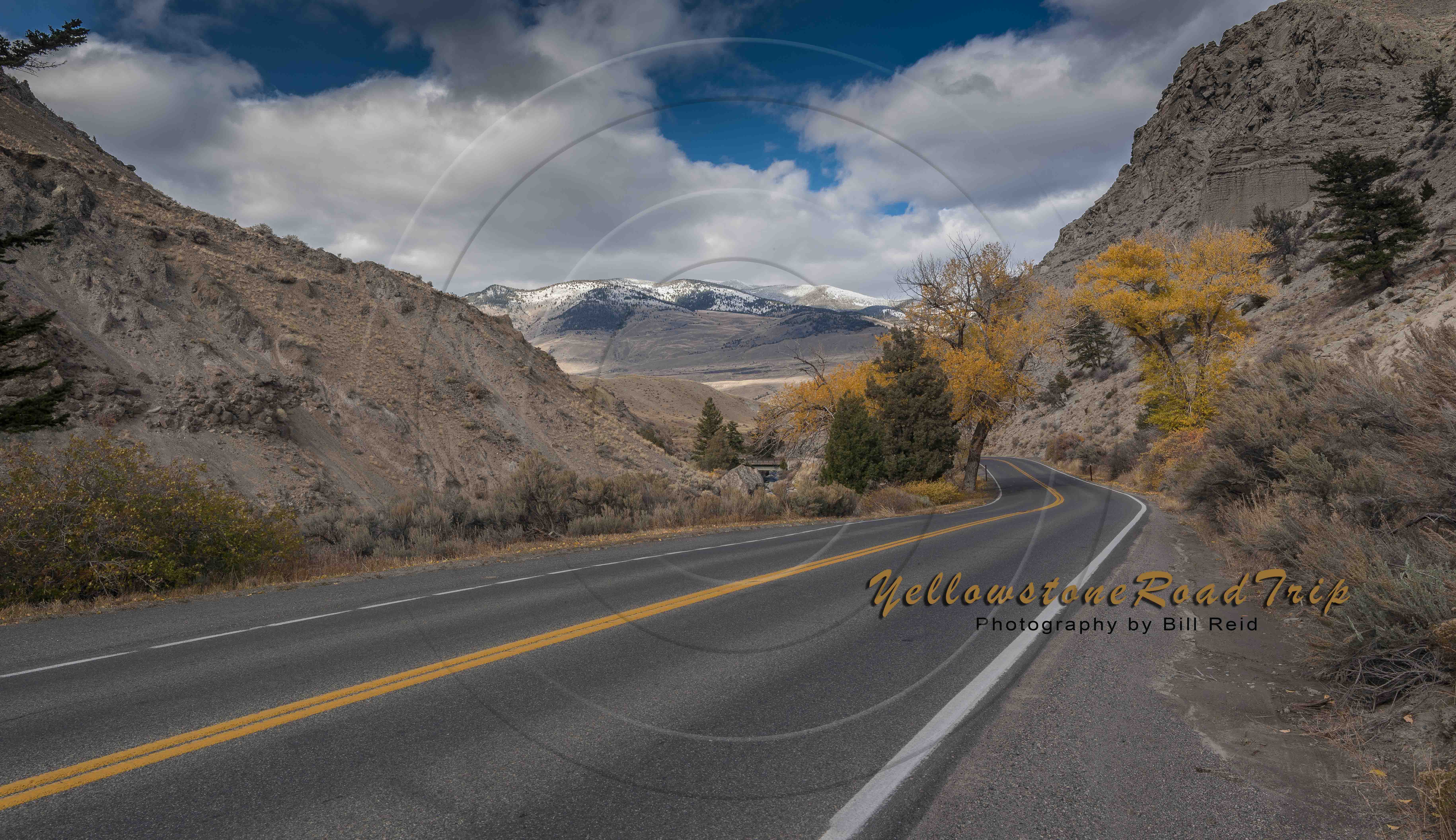 Yellowstone Road Trip-1