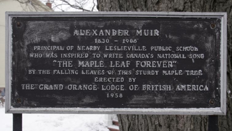 Alexander Muir